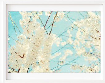 Cherry Tree Photography, Floral Wall Art, Blue and White Wall Art, Spring Wall Art, Nature Photography, Tree Photography, Cottage Home Art