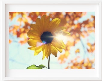 Nature Photography, Sunflower Photo, Yellow Flower Print, Sunflower Wall Art, Bright Colorful Nursery Wall Art, Kids Room Wall Art,