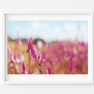 Nova Scotia Print, Landscape Photo, Pink Landscape Print, Nova Scotia Wall Art, Canada Wall Art, Landscape Print, Pink Wall Art, Landscape