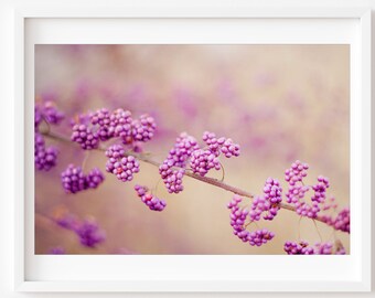 Tree Photography, Purple Berries Print, Purple Wall Art, Tree Print, Tree Photo, Berries Photo, Berries Print, Botanical Wall Art, Nature