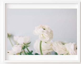 White Ranunculus Flower Photography, Botanical Print, White Pale Blue, Romantic Bedroom Wall Art, Ranunculus, Flower Photo, Floral Wall Art