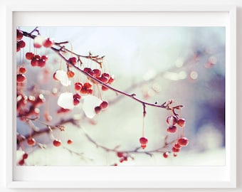 Winter Berries Photo, Snow On Branches Print, Red And White Wall Art, Snow Photography, Winter Home Decor, Red Berries White Snow Print