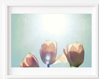 Pink Tulips, Tulip Photo, Flower Photography, Nature, Blue Sky Photo, Nursery Art, Pastel Art, Blue, Pink, Floral Still Life, Still Life