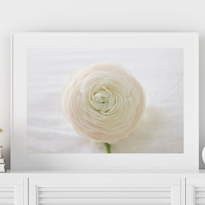 Ranunculus Photo, White Flower Print, Ranunculus Print, White Ranunculus Print, Floral Wall Art, White Flower Photo, White Decor, Botanical