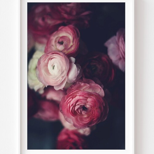 Still Life Photography Dark Moody Floral Print Ranunculus - Etsy