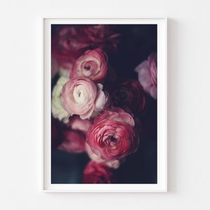 Moody Still Life Photo, Dark Ranunculus Floral Still Life Print, Cottage Home Decor, Dark Botanical Print, Dark Moody Flower Print,