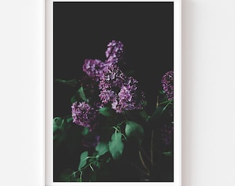Moody Still Life - Dark Lilac Print, Botanical Print, Lilac Photo, Lilac Print, Dark Floral Wall Art, Dark Lilac Print, Dark Background Art