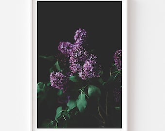 Moody Still Life - Dark Lilac Print, Botanical Print, Lilac Photo, Lilac Print, Dark Floral Wall Art, Dark Lilac Print, Dark Background Art