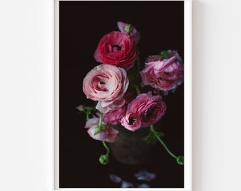 Ranunculus Photograph, Floral Still Life, Floral Art Print, Ranunculus Photo, Modern Wall Art, Dark Floral Photo, Dark Botanical, Ranunculus