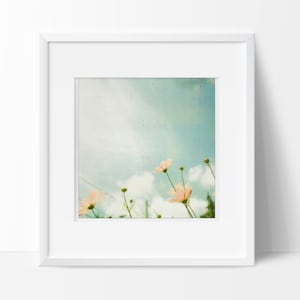 Polaroid Photograph, Polaroid Photo, Cosmos Flowers, Flower Photography, Nature Photography, Vintage Film Photo, Fine Art Photograph image 1