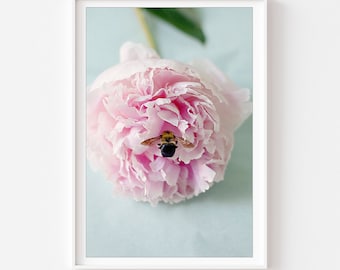 Still Life Photography - colorful pink flower bouquet peony print shabby chic home decor floral bouquet pink flowers still life photo bee