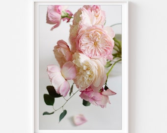 Rosa Rosen Foto, blassrosa Rosen Druck, botanische Wandkunst, Mädchenzimmer Wandkunst, Rosen Druck, Rosen Foto, Rose Stillleben Druck, rosa Rose