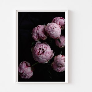 Still Life Photography Bouquet Deep Pink Peony Flowers Dark Dramatic Black Deep Color Romantic Feminine Art Photo Print image 1