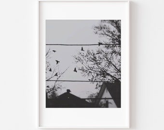 Nature Photography - Surreal Black and White Photo, Minimalism Bird Print, Goth Halloween Art,  Black and white bird photo, Nature Photo