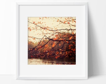 Nature Photography, Autumn Decor,  Autumn Home, Rustic Fall, Woodland Print, Fall Photo, Orange Tree Photo, Leaves Photo, Nature Print