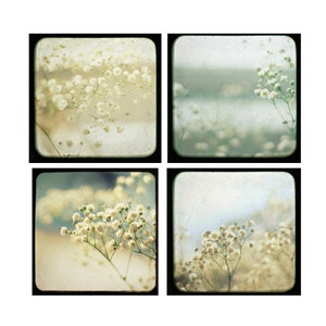 TTV Photos, Photo Set, Autumn Decor,  Vintage TTV prints, Nature Photography,  Flower Photo Set,  Vintage Camera Prints, Photo Set, Nature