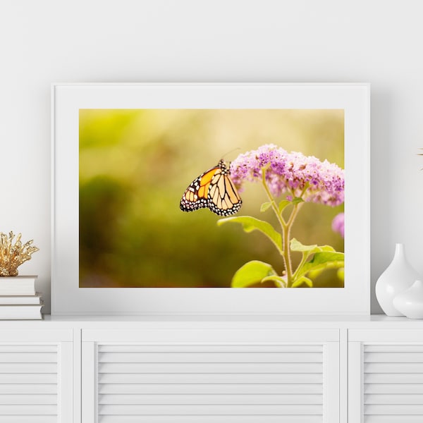 Monarch Butterfly Photo - Butterfly Print, Green Insect Print Butterfly Wall Art, Butterfly Photo, Nature Wall Art, Insect Photo, Colorful