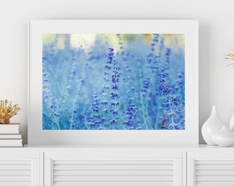 Salvia Photo - Blue Salvia Print, Nature Photo, Botanical Wall Art, Blue Wall Art, Blue Flowers Photo, Blue Flowers Print, Floral Wall Art