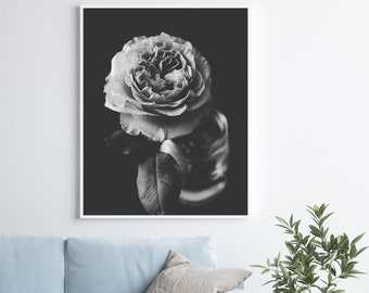 Black and White Flower Photography, Ranunculus Flower Photo, Still Life Print, Black and White Wall Art, Botanical Print, Gray Black Decor