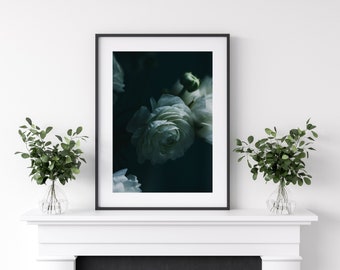 Moody Still Life Photo, Dark Floral Print, Dark Botanical Photo, White Flower Print, Dark Ranunculus Wall Decor, Floral Wall Art, Black Blue