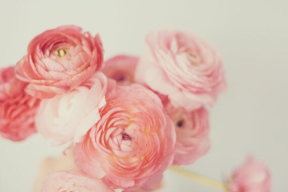 Still Life Photography Pale Peach Flower Bouquet Ranunculus Peach Flowers Nursery Girls Room Bedroom Decor Shabby Chic Decor Pastel Photo