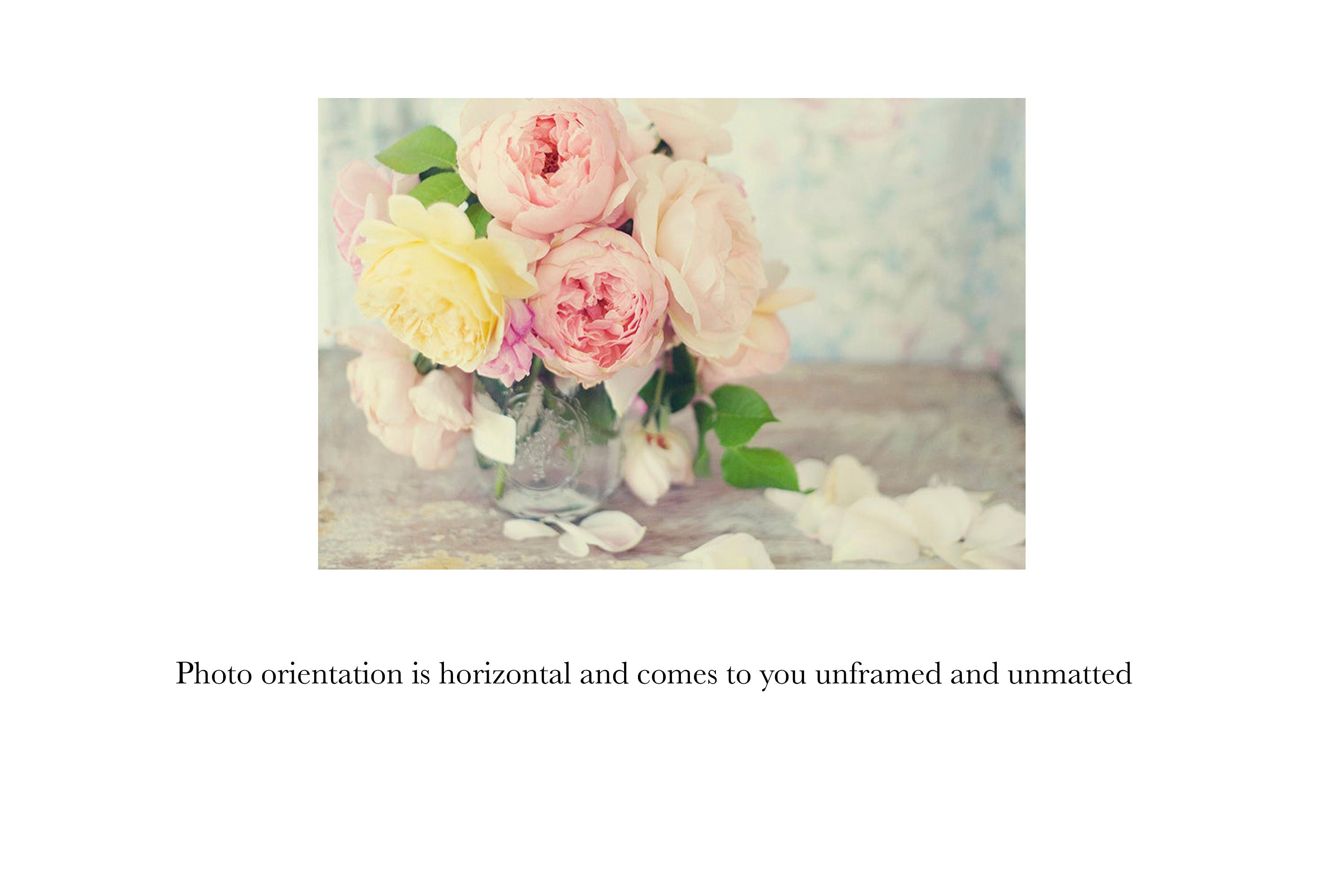 Still Life Photography - Rose Botanical Print Wall Art Flower ...