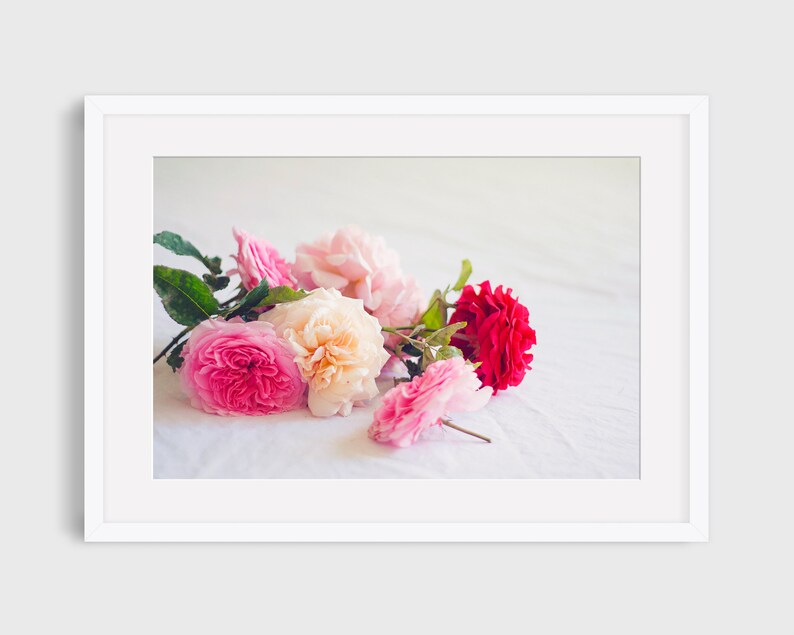 Roses Photography, English Rose Photo, Still Life Photo, Roses Print, Roses Photo, Girls Room Wall Art, Botanical Print, Feminine Wall Decor image 2