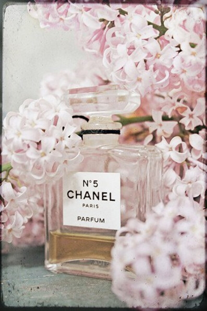 Still Life Photography Chanel Perfume Photo Lilacs Pink Etsy