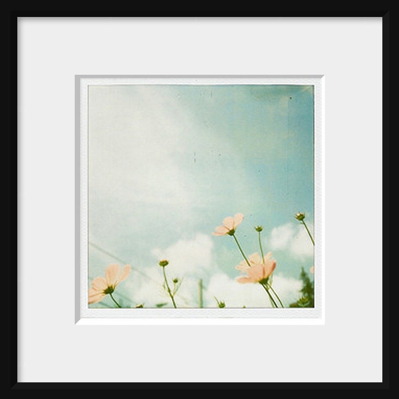Polaroid Photograph, Polaroid Photo, Cosmos Flowers, Flower Photography, Nature Photography, Vintage Film Photo, Fine Art Photograph image 2