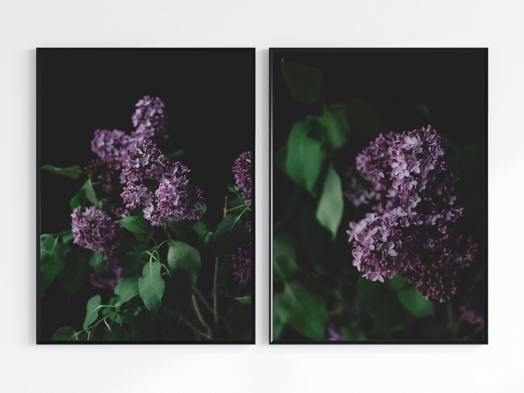 Flower Photography Prints Purple Wall Art Lilac Flowers Set - Etsy UK