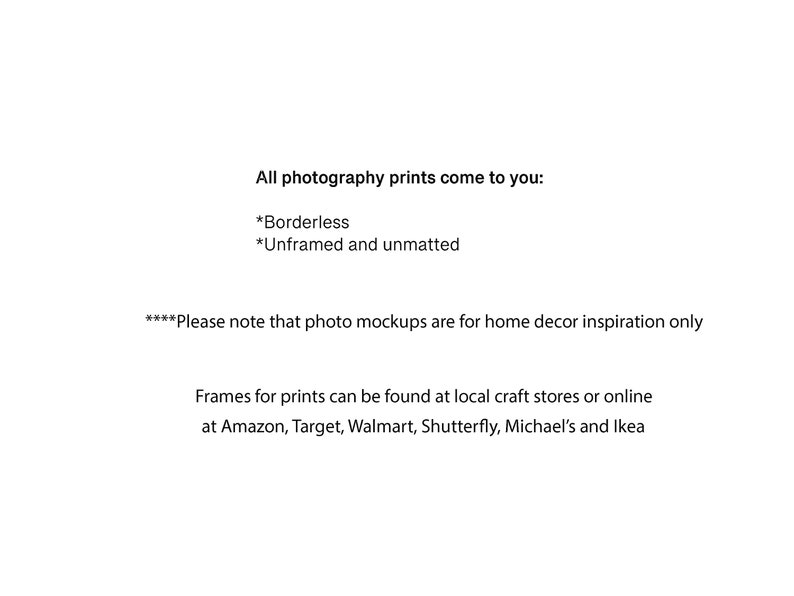 K&ouml;nnte beinhalten: Text, der erkl&auml;rt, dass alle Fotoabz&uuml;ge ungerahmt, unkaschiert und randlos zu Ihnen kommen. Au&szlig;erdem wird darauf hingewiesen, dass Foto-Mockups nur zur Inspiration f&uuml;r die Inneneinrichtung dienen und dass Rahmen in lokalen Bastelgesch&auml;ften oder online bei Amazon, Target, Walmart, Shutterfly, Michael's und Ikea erh&auml;ltlich sind.