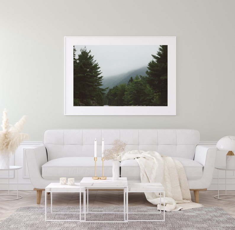 Maine Landscape Photography, Rustic Wall Art, Living Room Decor, Maine Forest Photo, Nature Photography, Maine Woods Print, New England Tree image 3