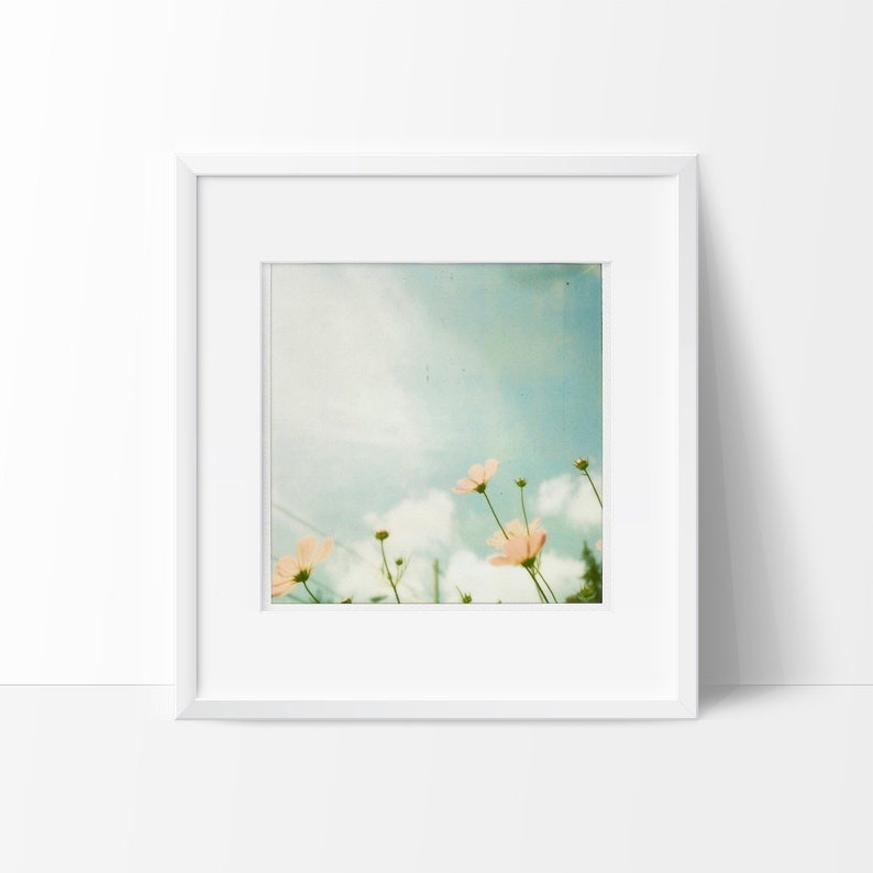 Polaroid Photograph, Polaroid Photo, Cosmos Flowers, Flower Photography, Nature Photography, Vintage Film Photo, Fine Art Photograph image 1