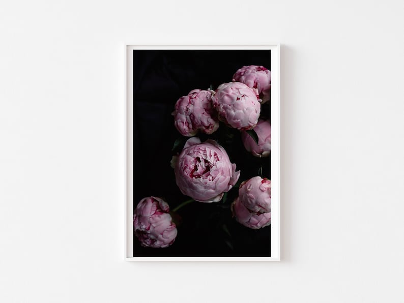 Still Life Photography Bouquet Deep Pink Peony Flowers Dark Dramatic Black Deep Color Romantic Feminine Art Photo Print image 1