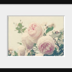 English Roses Print Pink Roses Photo, Botanical Print, Pastel Nursery, Garden Art, Romantic Pink, Nature Photography, Vintage Inspired image 2