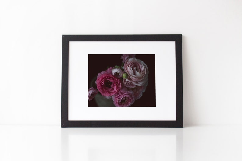 Still Life Photography, Ranunculus Flowers, Dark Floral Wall Art, Dark Botanical Print, Moody Floral Still Life, Rich Deep Tones Floral Art image 3