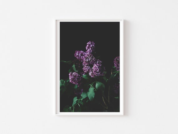 Moody Still Life Dark Lilac Print, Botanical Print, Lilac Photo