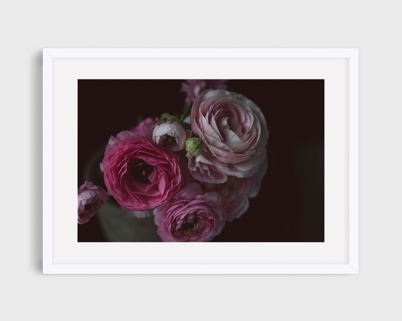 Still Life Photography, Ranunculus Flowers, Dark Floral Wall Art, Dark Botanical Print, Moody Floral Still Life, Rich Deep Tones Floral Art image 1