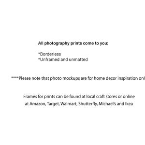 Fine Art Photography Print, Choose Your Size, Customize Your Size Print, Any Print In My Shop, 4x4 to 24x36 image 2