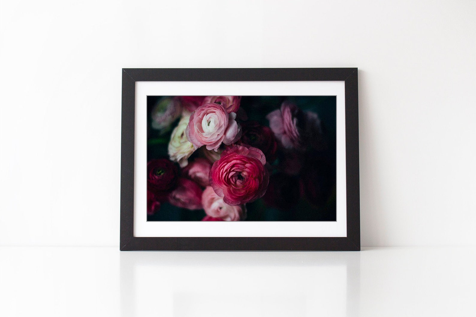 Still Life Photography Dark Moody Floral Print Ranunculus - Etsy