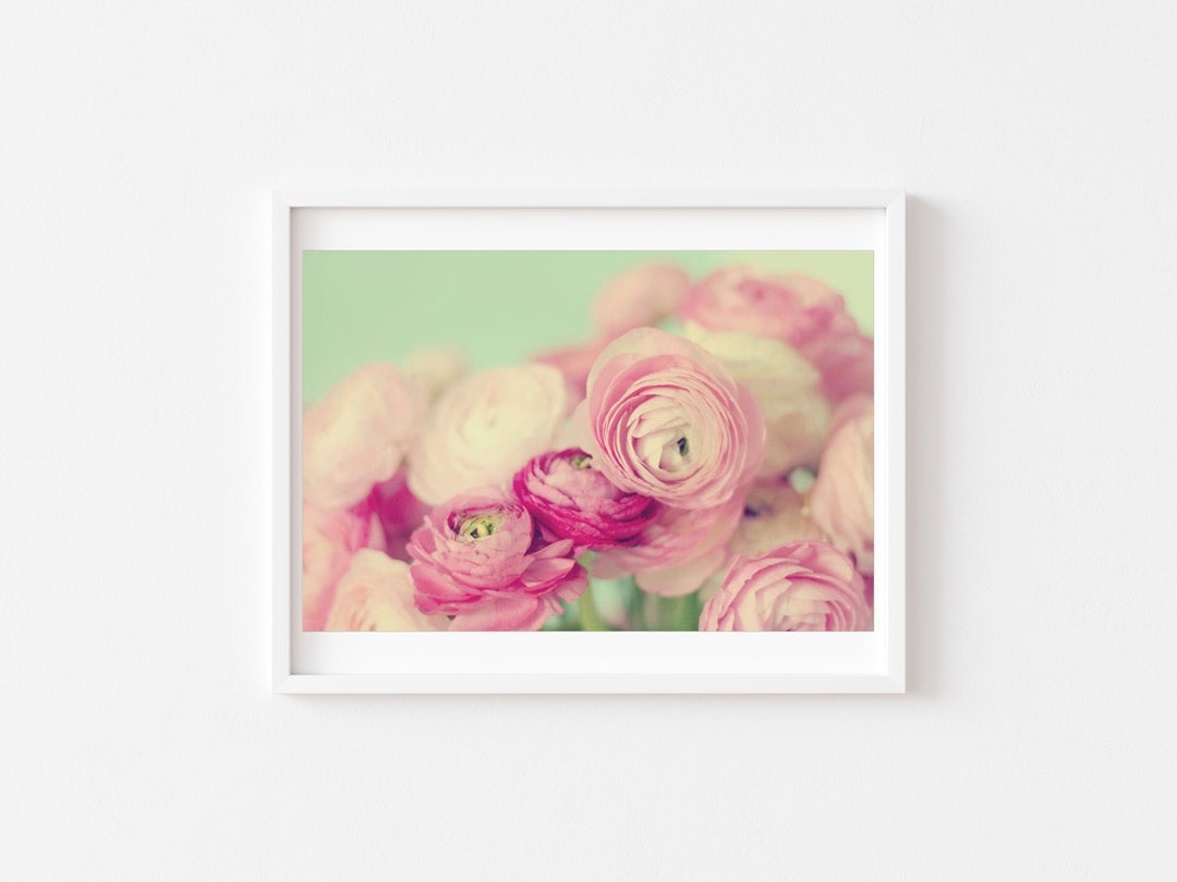 Pink Ranunculus Photograph Flower Bouquet Still Life Floral - Etsy