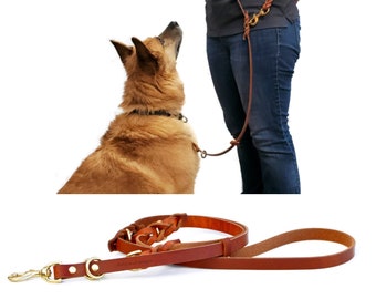 8-Way Lead in TAN--the most versatile 6 ft. dog leash ever LIFETIME WARRANTY