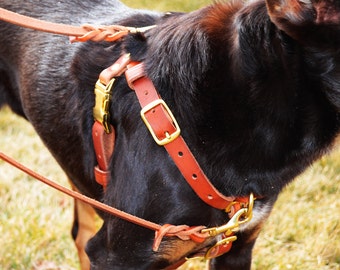 Connected Control Harness: a Leather no-pull dog walking harness (2-point, front-clip design) in black or tan