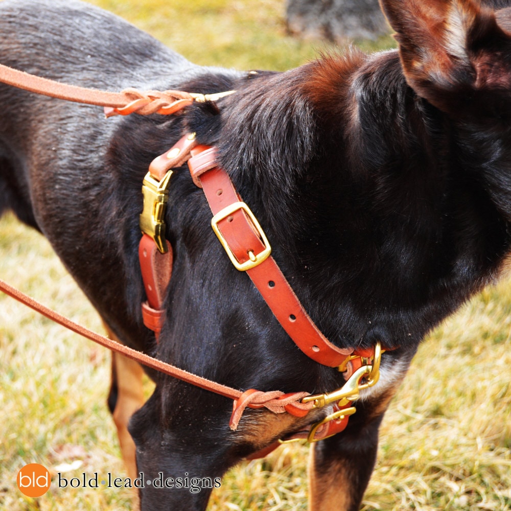 Lightweight Comfortable No Pull Front Genuine Leather Dog Halter Harness  Custom Logo Luxury Pet Chest Dog Vest Adjustable Black Brass - China Dog  Harness and Pet Products price