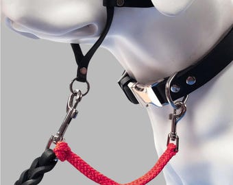 Safety Cord - backup connector strap for dog leash, collar, and harness - lightweight woven style (1, 3, or 6 pc.)