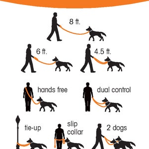 8-foot multi-functional 8x8 Lead graphic that shows stick figures to illustrate the leash in 8 different positions with text that reads 8 ft. long, 6 ft., 4.5 ft., hands-free, dual control, tie- up, slip-collar long and 2 dogs. One Leash Many Options