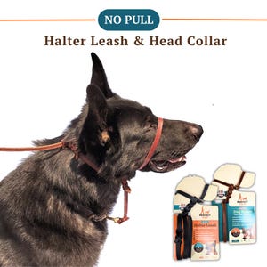 The Leather Perfect Pace™ NO-PULL Head Collar & Halter Leash