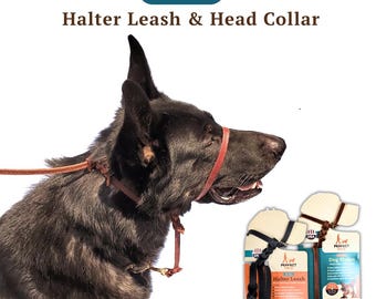 The Leather Perfect Pace™ NO-PULL Head Collar & Halter Leash