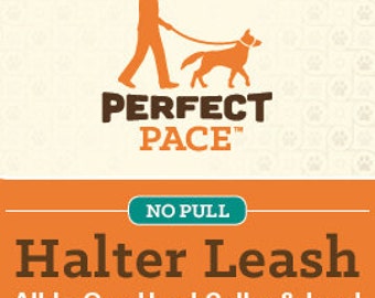 perfect pace halter