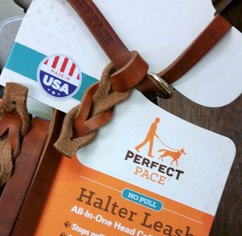 The LEATHER Perfect Pace No pull Dog Halter Leash in Black or Tan Etsy